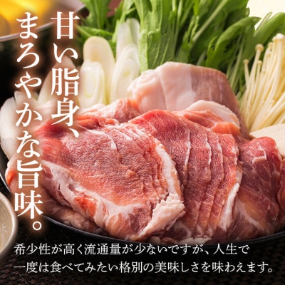 美ら島あぐー豚しゃぶしゃぶセット 2種食べ比べ(ロース、バラ) 合計1800g 真空パック