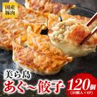沖縄高級ブランド豚 濃厚な肉汁が溢れる!美ら島あぐー餃子 20個入(400g)×6パック合計120個