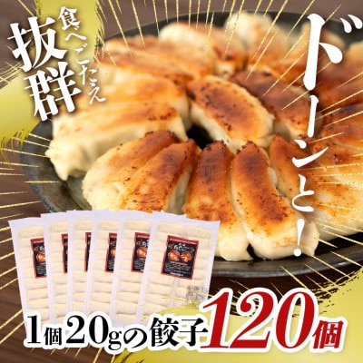 沖縄高級ブランド豚 濃厚な肉汁が溢れる!美ら島あぐー餃子 20個入(400g)×6パック合計120個
