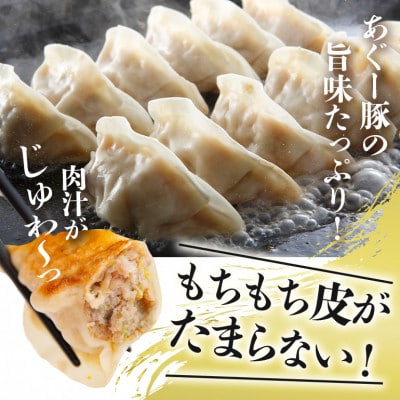 沖縄高級ブランド豚 濃厚な肉汁が溢れる!美ら島あぐー餃子 20個入(400g)×6パック合計120個