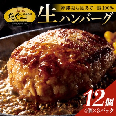 【沖縄高級ブランド豚】美ら島あぐー ハンバーグ　1.44kg(120g×12個)
