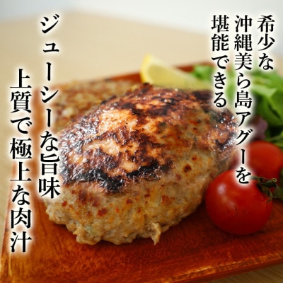 【沖縄高級ブランド豚】美ら島あぐー ハンバーグ　1.44kg(120g×12個)