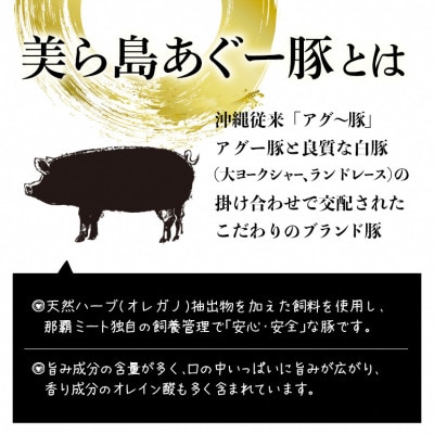 【沖縄高級ブランド豚】美ら島あぐー ハンバーグ　1.44kg(120g×12個)