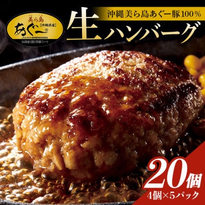 【沖縄高級ブランド豚】美ら島あぐー ハンバーグ　2.4kg(120g×20個)