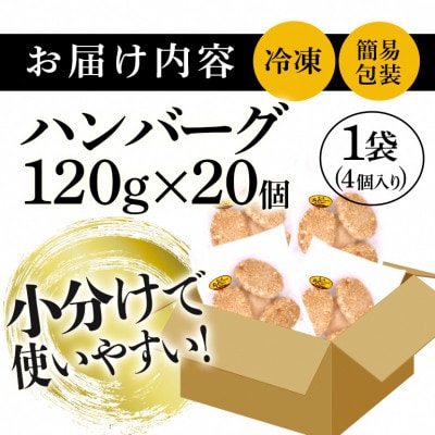 【沖縄高級ブランド豚】美ら島あぐー ハンバーグ　2.4kg(120g×20個)