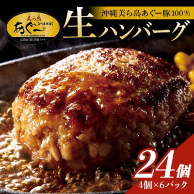 【沖縄高級ブランド豚】美ら島あぐー ハンバーグ　2.88kg(120g×24個)