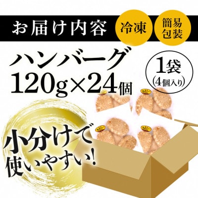 【沖縄高級ブランド豚】美ら島あぐー ハンバーグ　2.88kg(120g×24個)