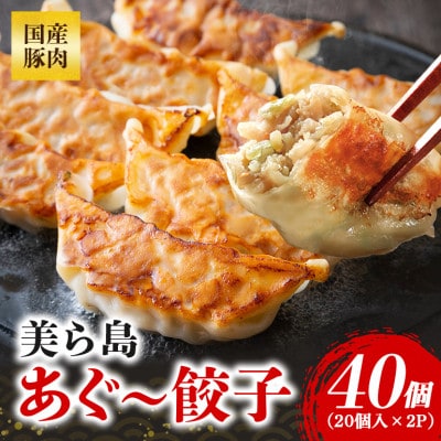 沖縄高級ブランド豚 濃厚な肉汁が溢れる!美ら島あぐー餃子 20個入(400g)×2パック 合計40個