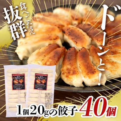 沖縄高級ブランド豚 濃厚な肉汁が溢れる!美ら島あぐー餃子 20個入(400g)×2パック 合計40個
