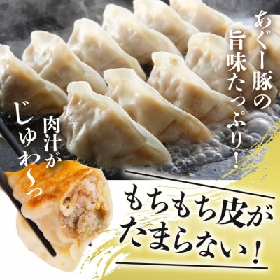 沖縄高級ブランド豚 濃厚な肉汁が溢れる!美ら島あぐー餃子 20個入(400g)×2パック 合計40個