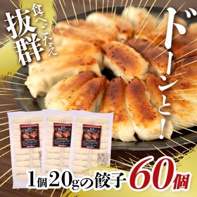 沖縄高級ブランド豚 濃厚な肉汁が溢れる!美ら島あぐー餃子 20個入(400g)×3パック 合計60個