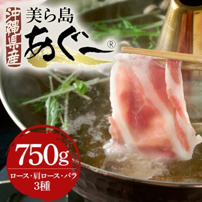 【毎月定期便】美ら島あぐー豚 堪能セットしゃぶしゃぶ 餃子 肉団子 豚まん ハンバーグ 生ハム全6回