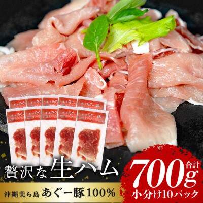 【毎月定期便】美ら島あぐー豚 堪能セットしゃぶしゃぶ 餃子 肉団子 豚まん ハンバーグ 生ハム全6回