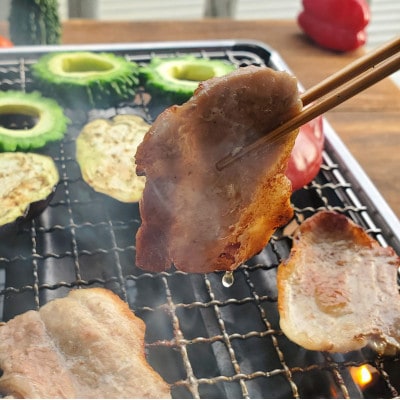 パイナップル ポーク焼肉セット(3～4人前) [ロース・バラ]沖縄のブランド豚