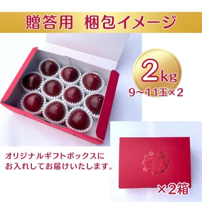 【2026年発送・贈答用1kg(9玉～11玉)×2箱】栽培期間中農薬不使用のパッションフルーツ