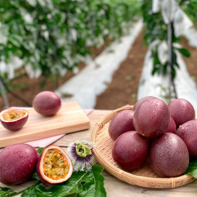 【2026年発送・贈答用1kg(9玉～11玉)×2箱】栽培期間中農薬不使用のパッションフルーツ