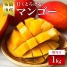 【2026年発送】かねよしマンゴーの甘くとろけるマンゴー1kg(贈答用)