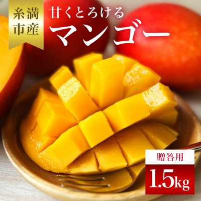 【2025年発送】かねよしマンゴーの甘くとろけるマンゴー1.5kg(贈答用)