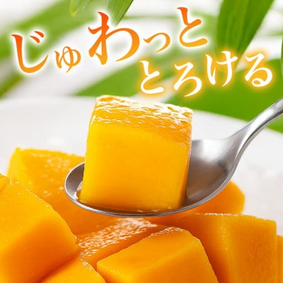【2025年発送】かねよしマンゴーの甘くとろけるマンゴー1.5kg(贈答用)