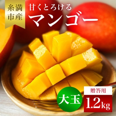 【2026年発送】かねよしマンゴーの甘くとろける マンゴー 大玉 1.2kg (贈答用)