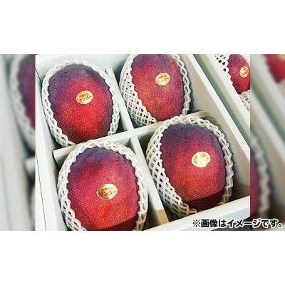 【2025年発送】沖縄の太陽を浴びた芳醇なマンゴー 1kg(秀品)