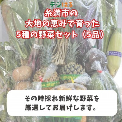 【2024年12月～2025年4月発送】産地直送!糸満市で丹精込めて育てた野菜セット5品