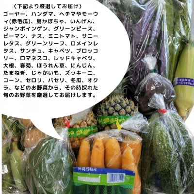 【2024年12月～2025年4月発送】産地直送!糸満市で丹精込めて育てた野菜セット5品