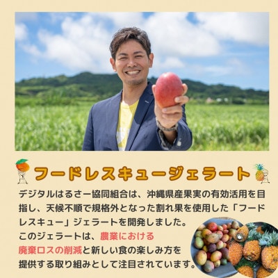 MOTTAINAI バナナジェラート 6個