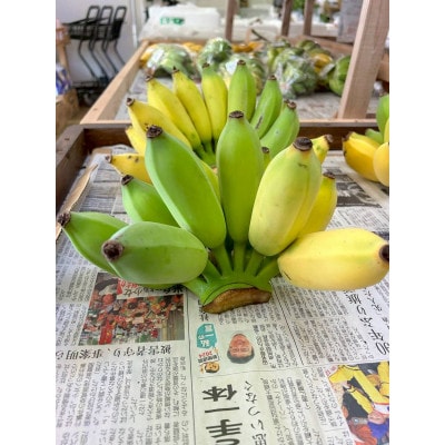 【畑人市場】 アップルバナナ 2.5kg～3kg