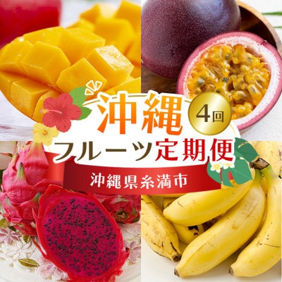 【発送月固定定期便】【定期便全4回】沖縄 フルーツ パッション マンゴー ドラゴン 沖縄バナナ全4回