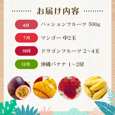 【発送月固定定期便】【定期便全4回】沖縄 フルーツ パッション マンゴー ドラゴン 沖縄バナナ全4回