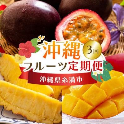 【発送月固定定期便】【定期便全3回】フルーツ 定期便 パイン マンゴー パッションフルーツ全3回