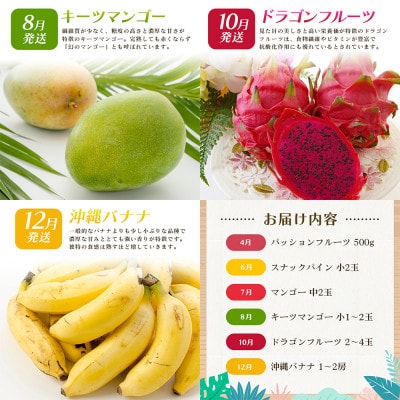 【発送月固定定期便】【定期便全6回】パッション アップル マンゴー キーツ ドラゴン バナナ全6回