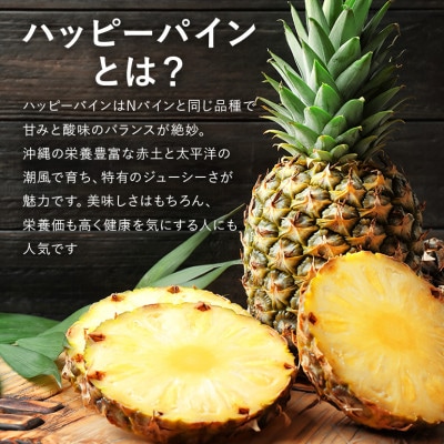 ハッピーパイン2玉(Nパイン)沖縄県の南部では育たないと言われた幻のパイナップル
