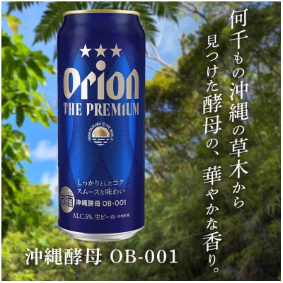 【毎月定期便】【オリオンビール】 オリオン ザ・プレミアム 500ml×24缶(1ケース)全2回