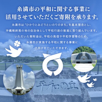 【返礼品なし】糸満市の「平和に関する事業」へのご支援をお願いします。(1口:3,000円)