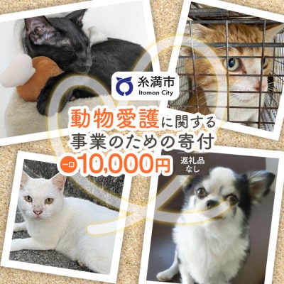 【返礼品なし】犬・猫等の不妊去勢手術費用のご支援をお願いします。(1口:10,000円)