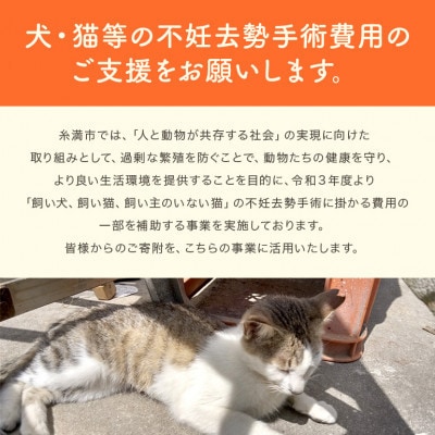 【返礼品なし】犬・猫等の不妊去勢手術費用のご支援をお願いします。(1口:10,000円)