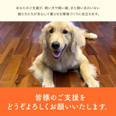 【返礼品なし】犬・猫等の不妊去勢手術費用のご支援をお願いします。(1口:10,000円)