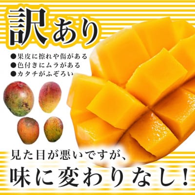 【2025年発送】糸満市産 あらかき農園 訳あり マンゴー 1.5kg アーウィンマンゴー