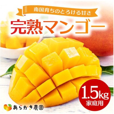 【2026年発送】糸満市産 あらかき農園 家庭用 マンゴー 1.5kg 完熟 アーウィンマンゴー