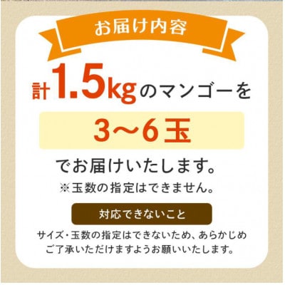 【2026年発送】糸満市産 あらかき農園 家庭用 マンゴー 1.5kg 完熟 アーウィンマンゴー