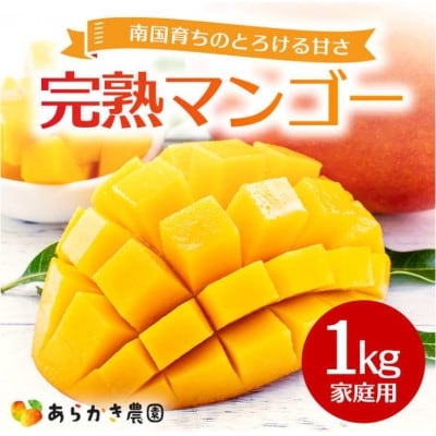 【2026年発送】糸満市産 あらかき農園 家庭用 マンゴー 1kg 完熟 アップルマンゴー