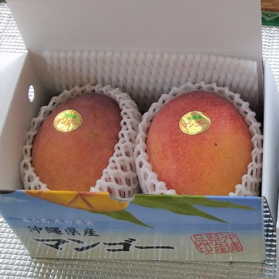 【2026年発送】糸満市産 あらかき農園 家庭用 マンゴー 1kg 完熟 アップルマンゴー