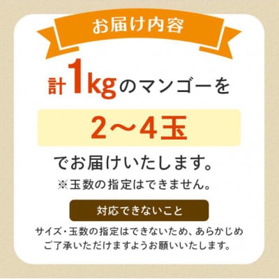 【2026年発送】糸満市産 あらかき農園 家庭用 マンゴー 1kg 完熟 アップルマンゴー