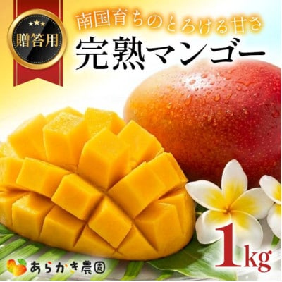 【2026年6月下旬～順次発送】贈答用 マンゴー 1kg 完熟 アーウィンマンゴー