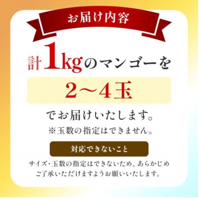 【2026年6月下旬～順次発送】贈答用 マンゴー 1kg 完熟 アーウィンマンゴー