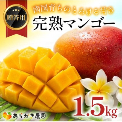 【2026年6月下旬～順次発送】贈答用 マンゴー 1.5kg 完熟 アーウィンマンゴー