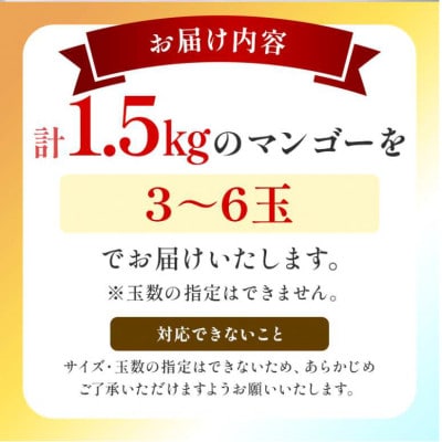 【2026年6月下旬～順次発送】贈答用 マンゴー 1.5kg 完熟 アーウィンマンゴー