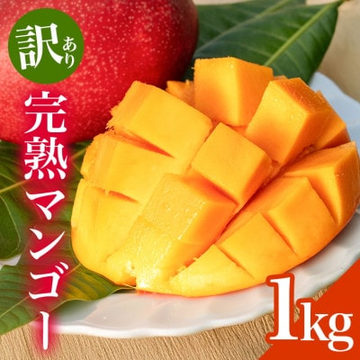 【2025年発送】 訳あり 完熟アーウィンマンゴー 1kg